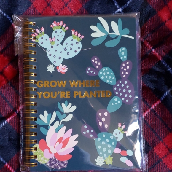 Cactus/Succulent Stationary Bundle - Picture 3 of 6